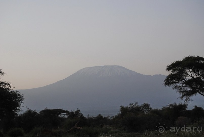 Кения, Амбосели