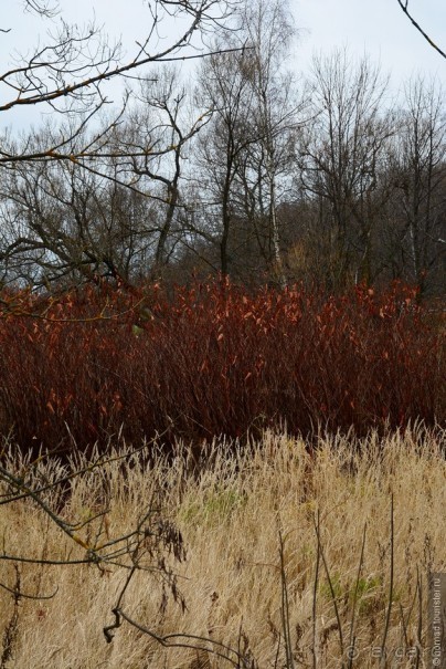 Золотое Кольцо. Звенигород