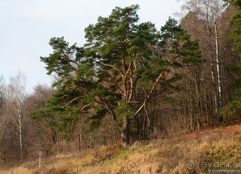 Золотое Кольцо. Звенигород