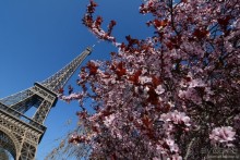 Прошлогодняя беготня