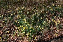 Прошлогодняя беготня