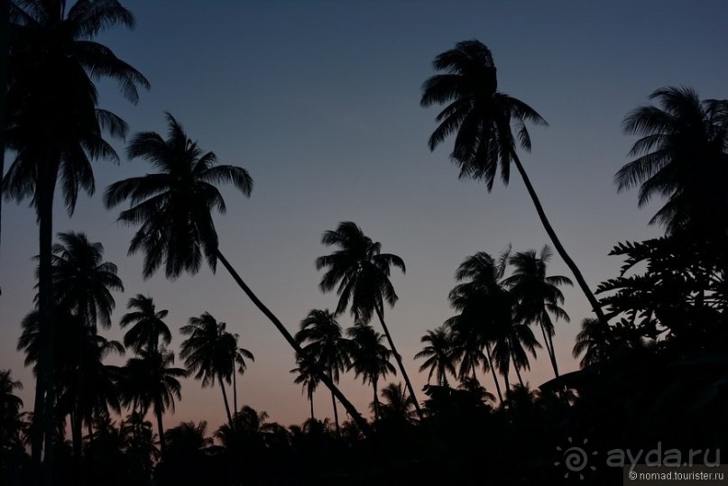 Прошлогодняя беготня