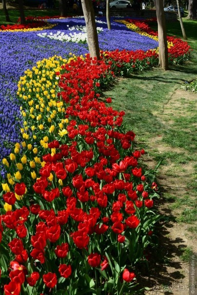 Прошлогодняя беготня