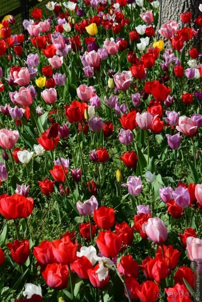 Прошлогодняя беготня