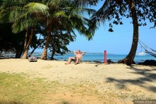 Прошлогодняя беготня