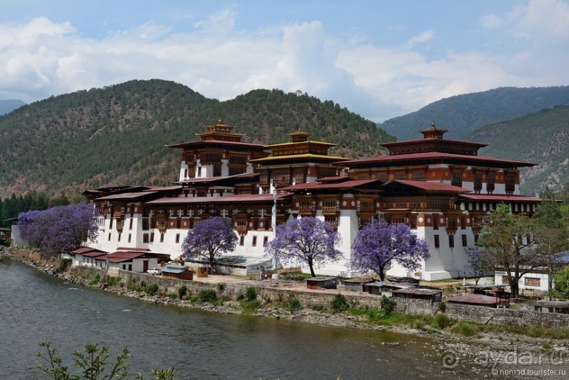 Прошлогодняя беготня