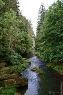 Прошлогодняя беготня