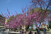 Прошлогодняя беготня