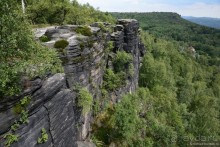 Прошлогодняя беготня