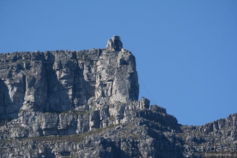 Прошлогодняя беготня