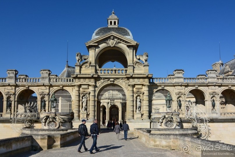 Прошлогодняя беготня