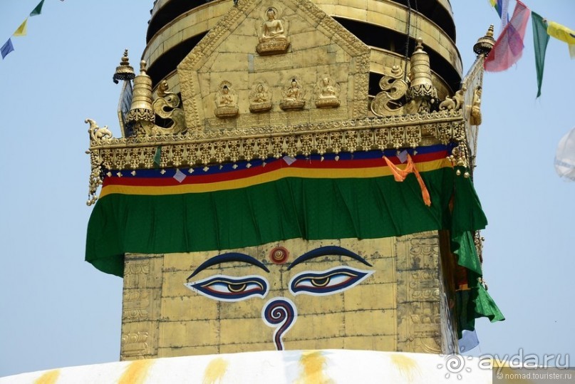 Прошлогодняя беготня