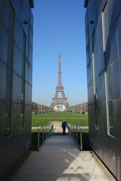 Прошлогодняя беготня