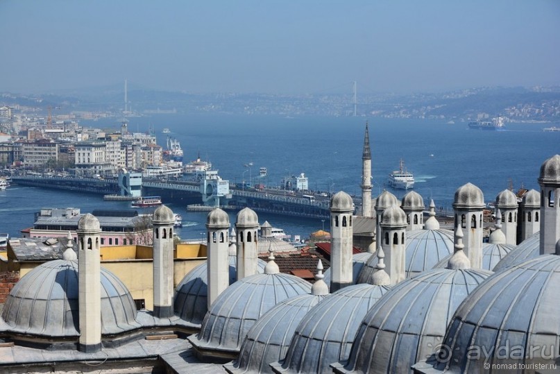 Прошлогодняя беготня