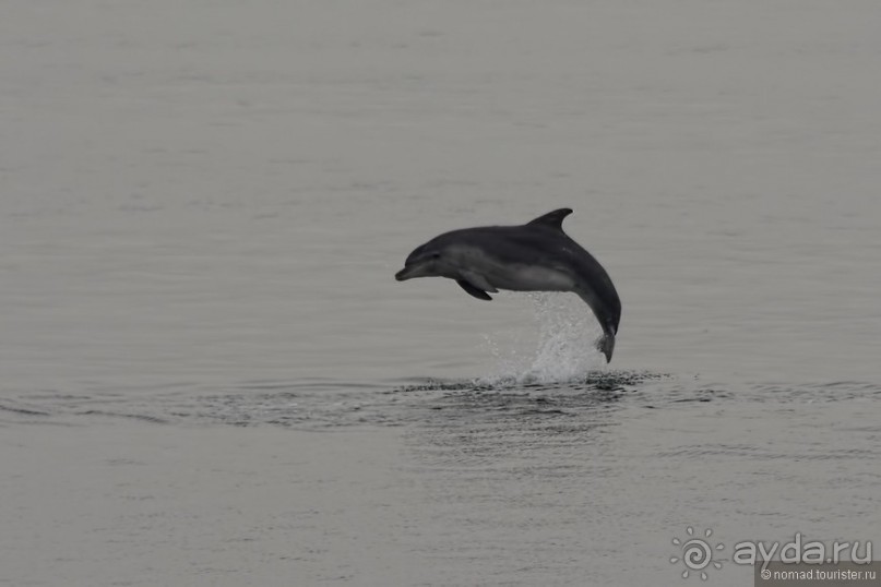 Прошлогодняя беготня