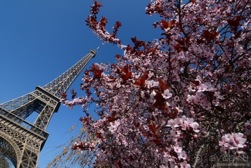 Прошлогодняя беготня