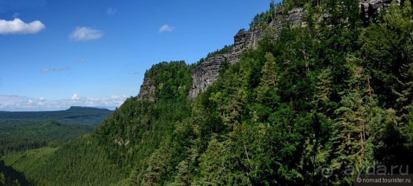 Прошлогодняя беготня