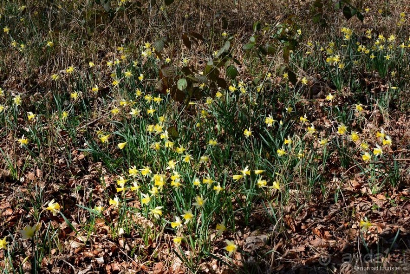 Прошлогодняя беготня