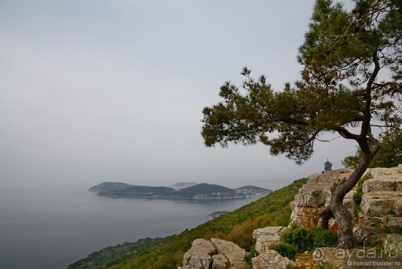 Прошлогодняя беготня