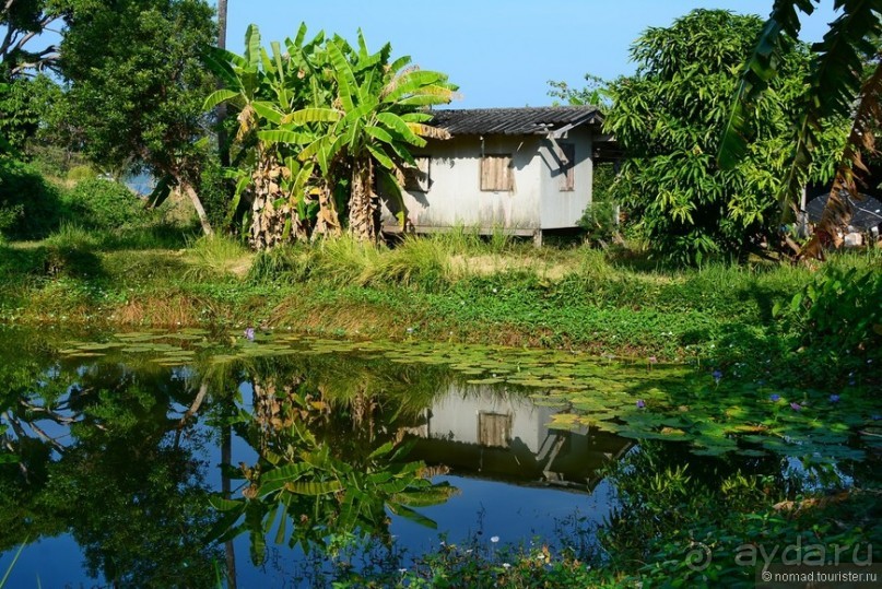 Прошлогодняя беготня