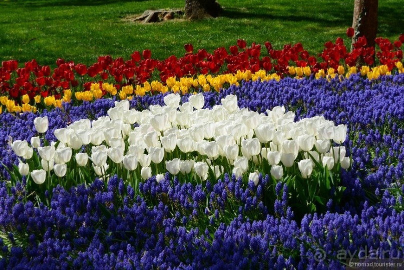 Прошлогодняя беготня