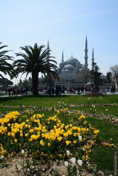 Прошлогодняя беготня