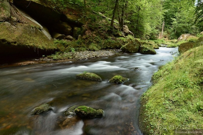 Прошлогодняя беготня