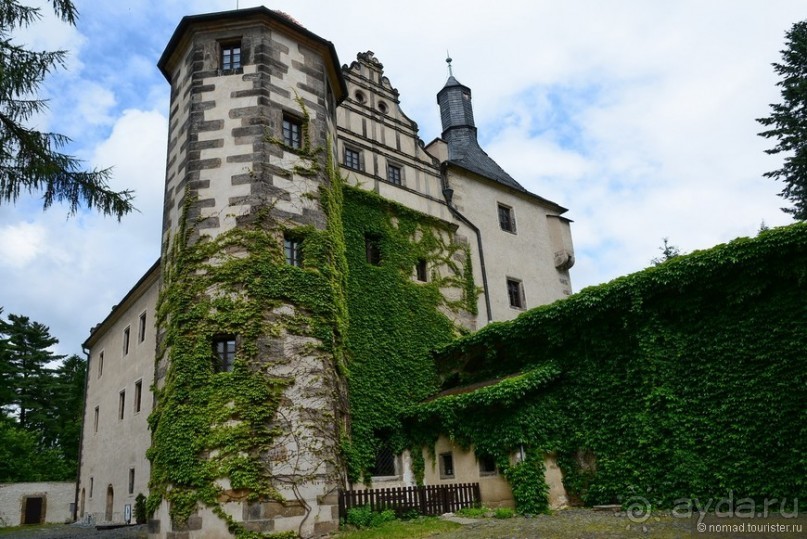 Прошлогодняя беготня