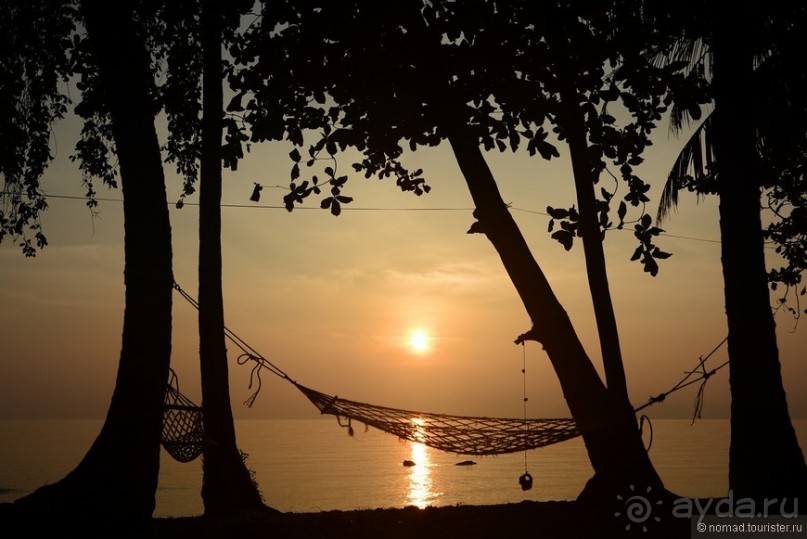 Прошлогодняя беготня