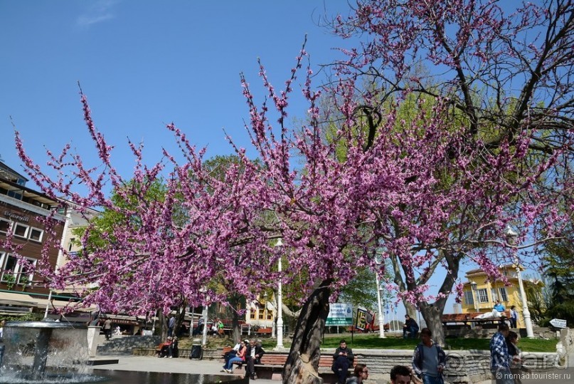 Прошлогодняя беготня