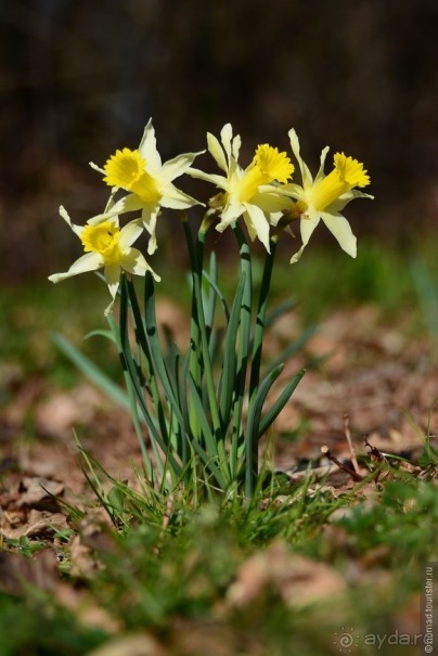 Прошлогодняя беготня