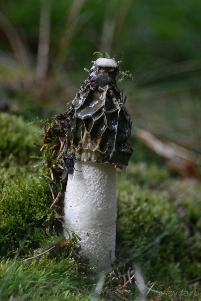 Чешские покатушки. Часть 3