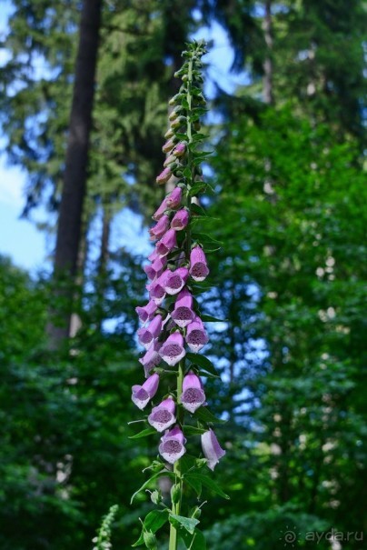 Чешские покатушки. Часть 3