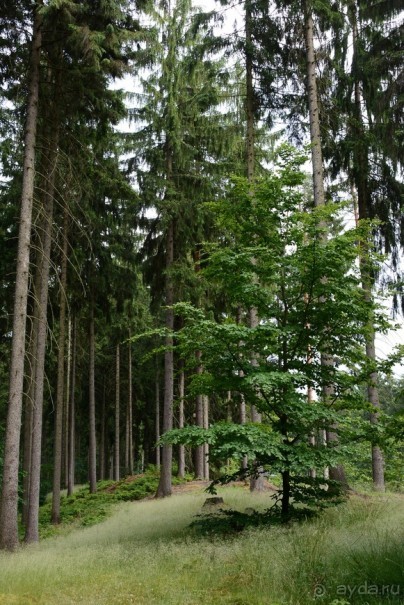 Чешские покатушки. Часть 3