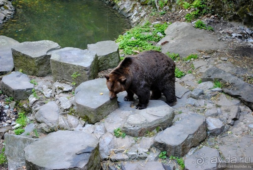 Город-сказка, город-мечта...