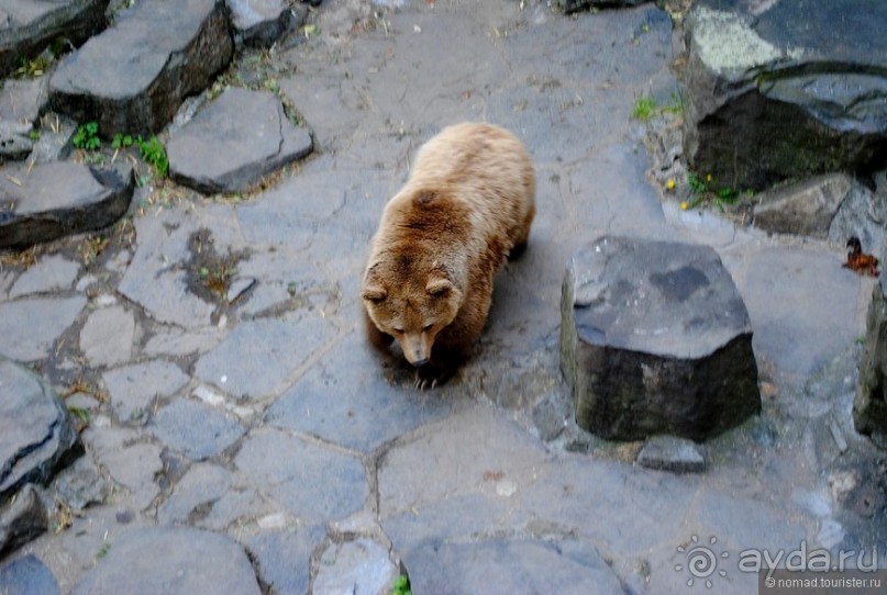Город-сказка, город-мечта...