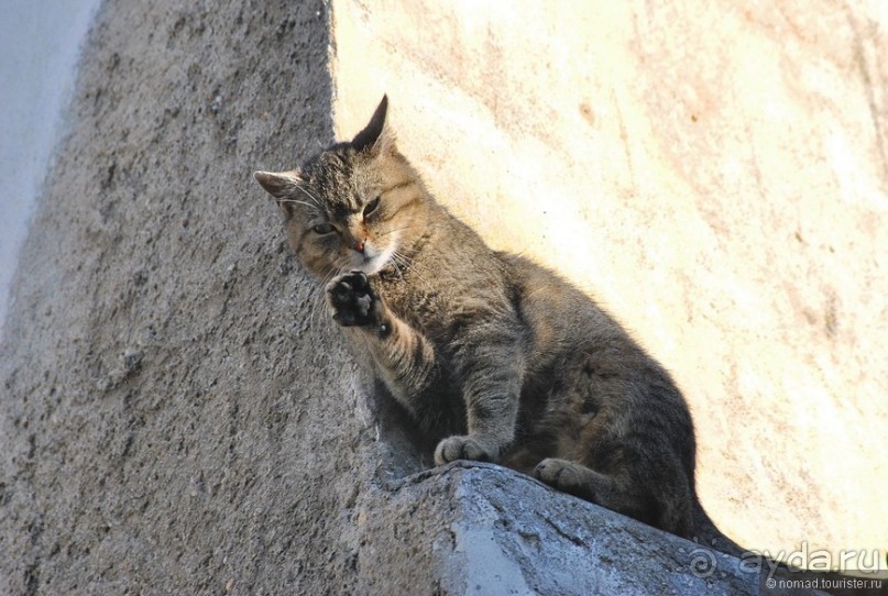 Город-сказка, город-мечта...