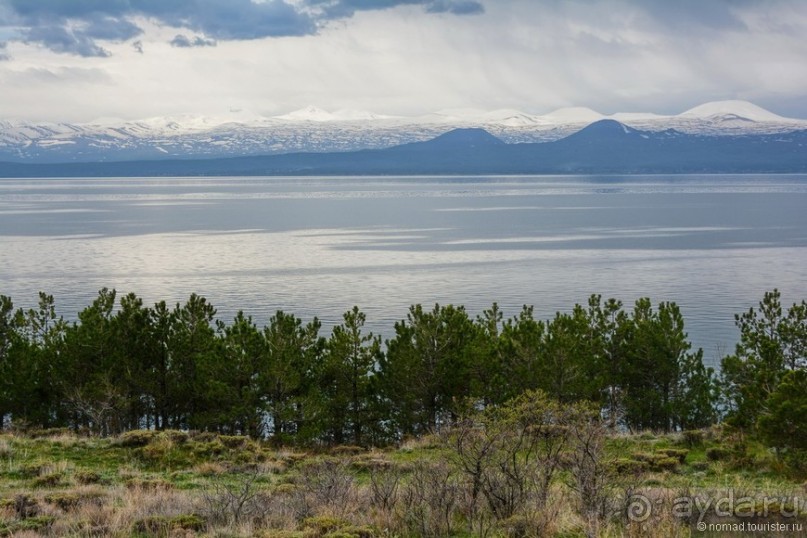 Птицы Армении