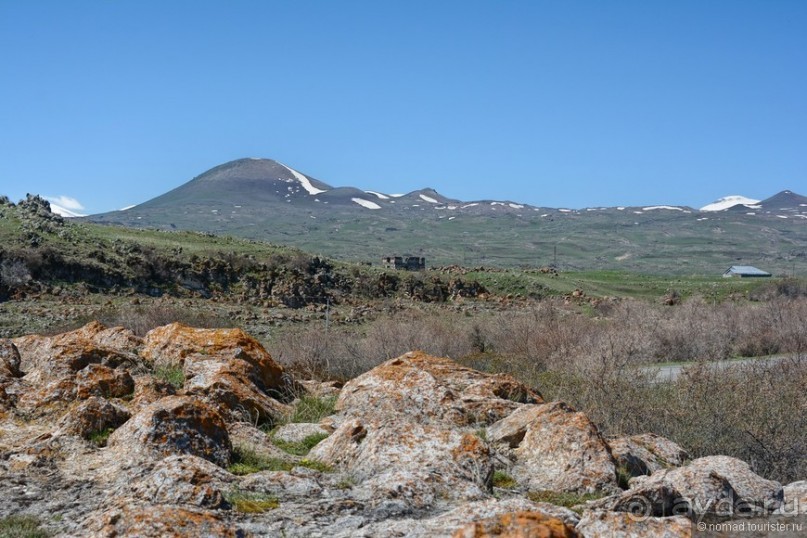 Птицы Армении