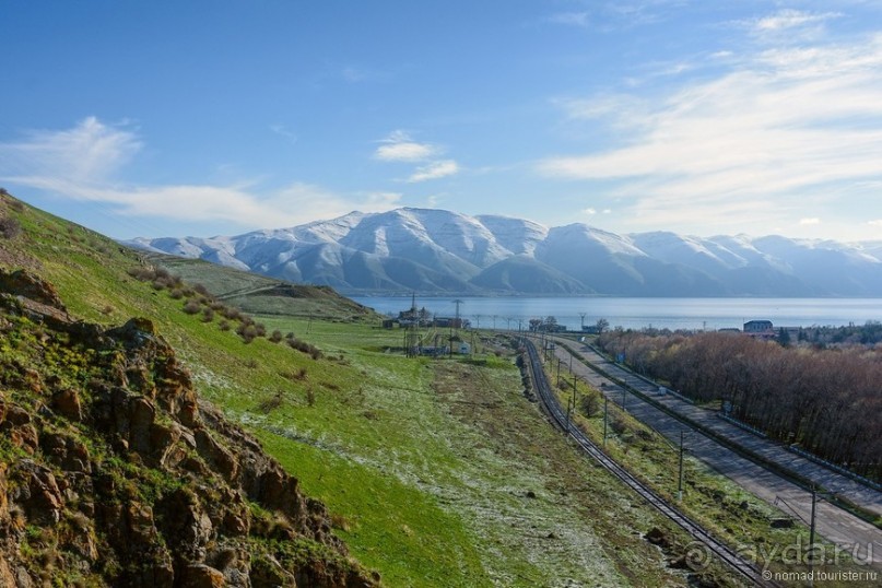 Птицы Армении