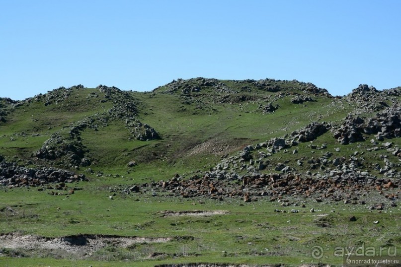 Птицы Армении