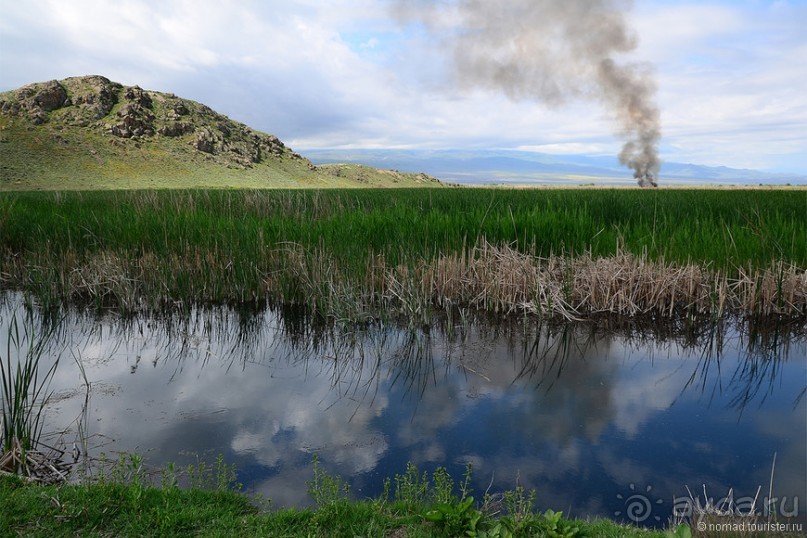 Птицы Армении