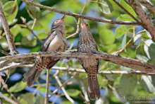 Bolivia te espera! Часть 6