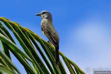 Bolivia te espera! Часть 6