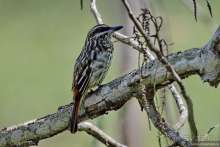 Bolivia te espera! Часть 6