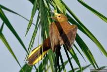 Bolivia te espera! Часть 6