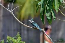 Bolivia te espera! Часть 6