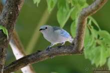 Bolivia te espera! Часть 6