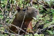 Bolivia te espera! Часть 6