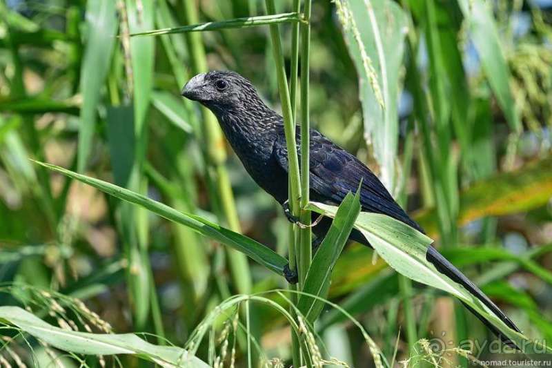 Bolivia te espera! Часть 6